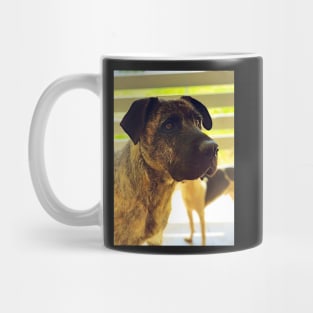 Majestic Doggo Mug